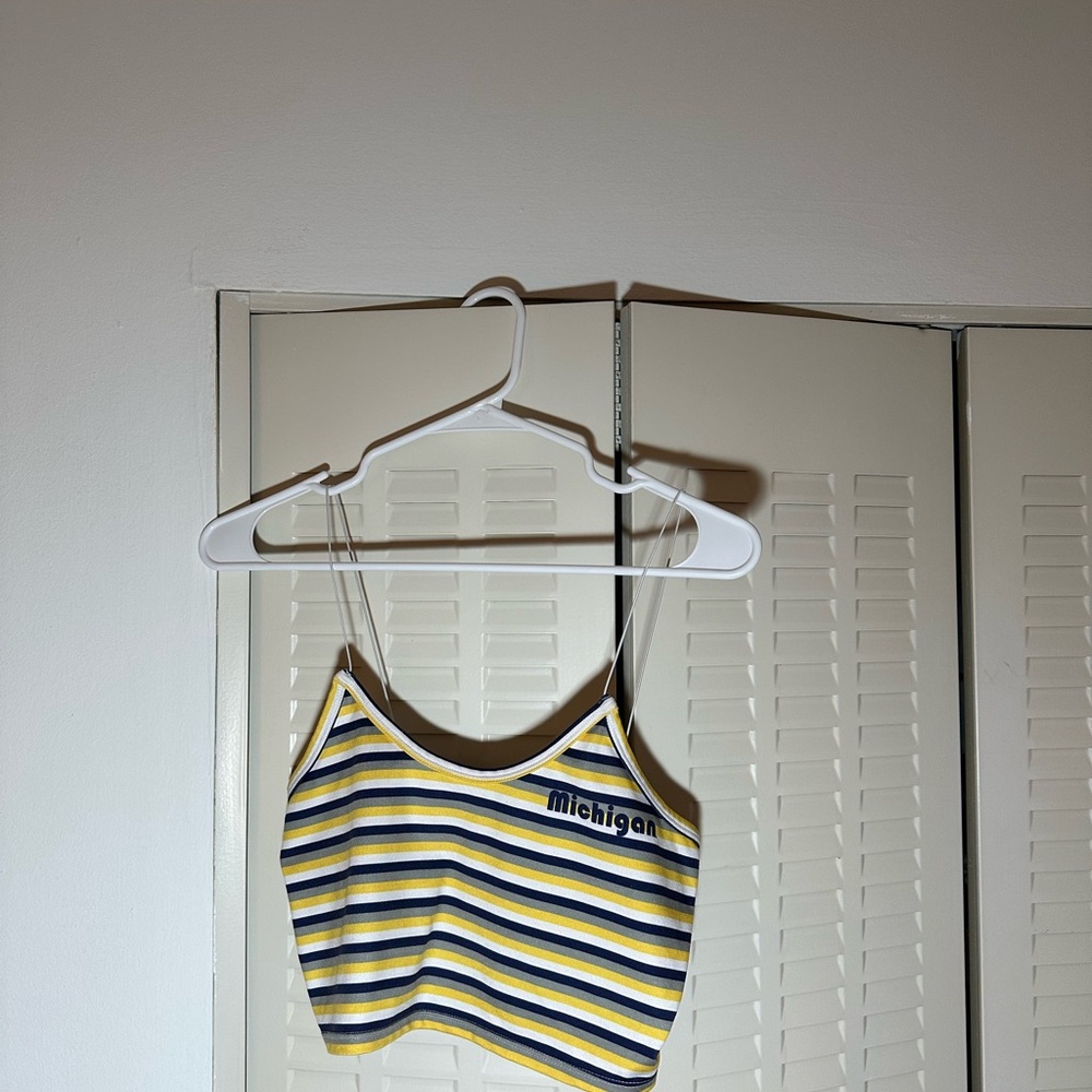 UMich Striped Crop Top